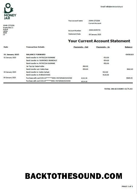 İndir Letonya Money Jar Hesap Hesap Özeti Word and PDF Örnek şablon
