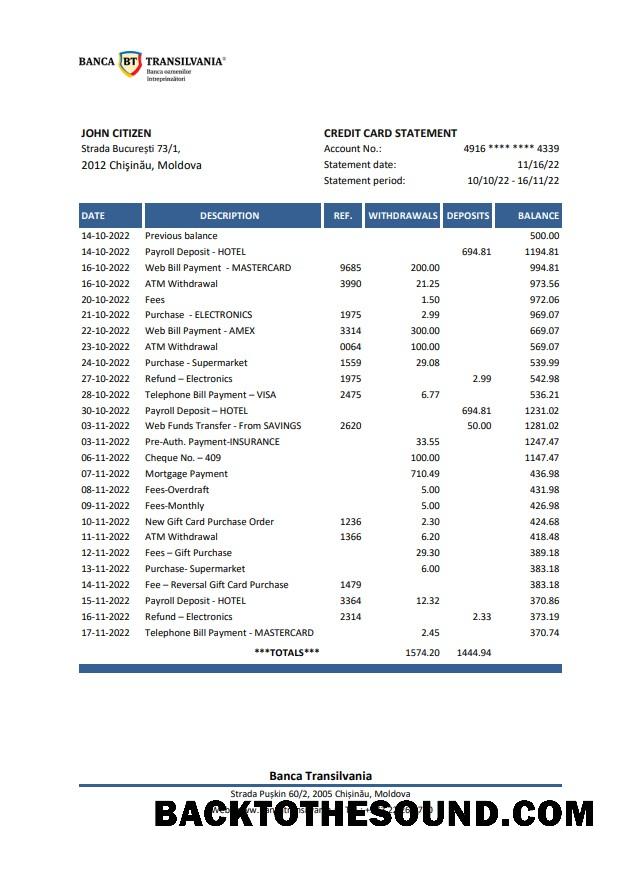 İndir Moldova Banca Transilvania Banka Hesap Özeti Örnek örnek