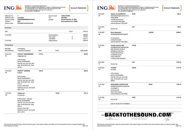 Gerçekçi İndir Hollanda ING Banka Hesap Hesap Özeti Word and PDF Şablon, 2 pages Örnek