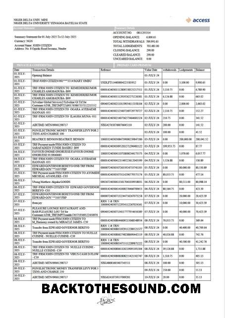 İndir Nijerya erişim Banka Hesap Hesap Özeti Word and PDF Örnek taslak