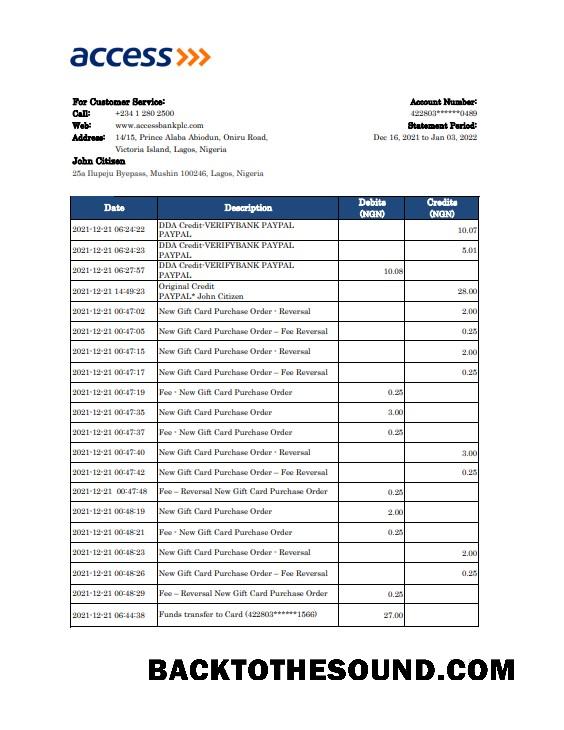 İndir Nijerya erişim Banka Hesap Özeti Excel and PDF Örnek örnek