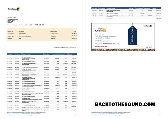 Yüksek Kalite İndir Nijerya First Banka Hesap Hesap Özeti Word and PDF Şablon, 2 pages, Sürüm 2 Örnek