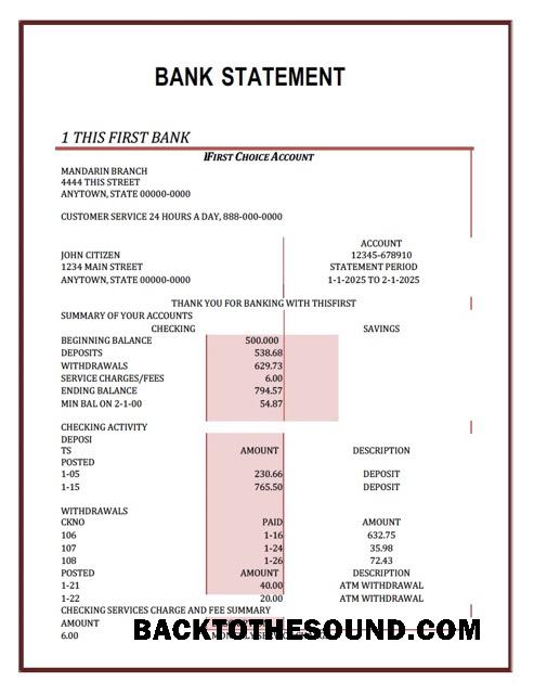 İndir Nijerya First Banka Hesap Özeti Word and PDF Örnek örnek