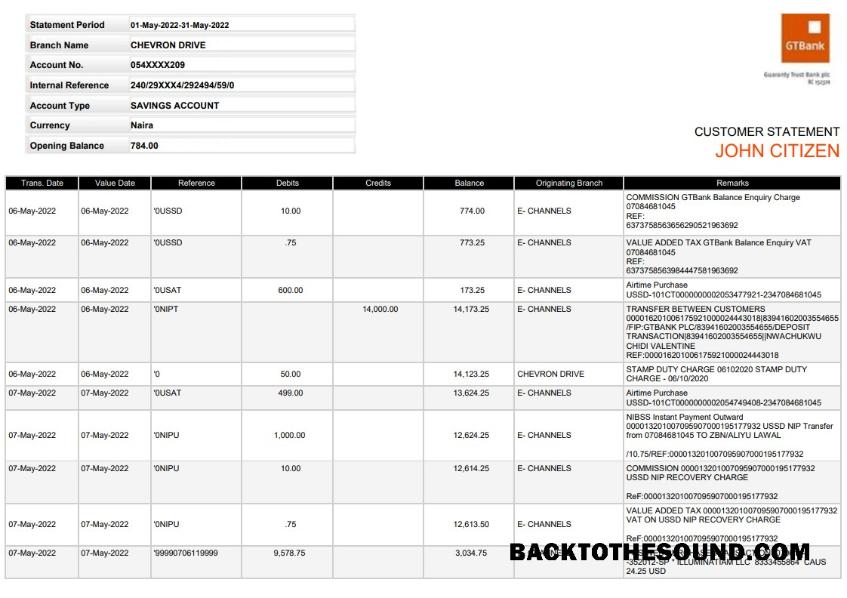 Profesyonel İndir Nijerya GTBank Hesap Özeti, Word and PDF Şablon, Sürüm 2 Örnek