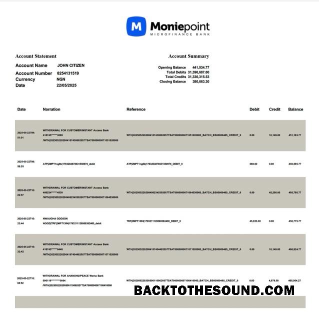 İndir Nijerya Moniepoint Microfinance Banka Hesap Hesap Özeti Word and PDF Örnek şablon
