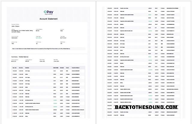 Düzenlenebilir İndir Nijerya Opay Hesap Hesap Özeti Word and PDF Şablon, 2 pages Örnek