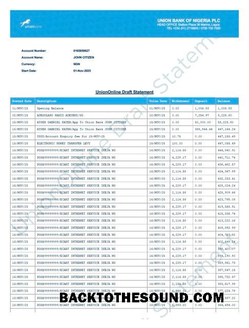 İndir Nijerya birlik Banka of Nijerya Hesap Hesap Özeti Word and PDF Örnek örnek
