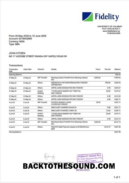 Yüksek Kalite İndir Nigerienia Fidelity Banka Hesap Özeti Word and PDF Şablon, Sürüm 2 Örnek