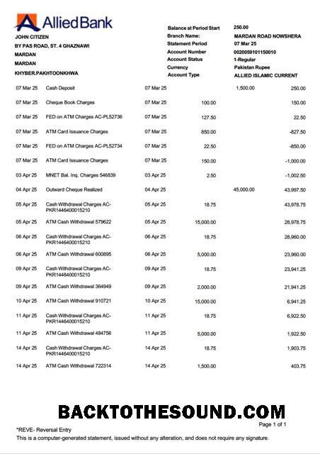 İndir Pakistan Allied Banka Limited Hesap Hesap Özeti Word and PDF Örnek şablon