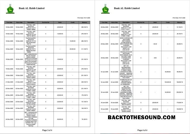 Yüksek Kalite İndir Pakistan Banka Al Habib Hesap Özeti of Hesap Word and PDF Şablon, 4 pages, 3 4 pages Örnek