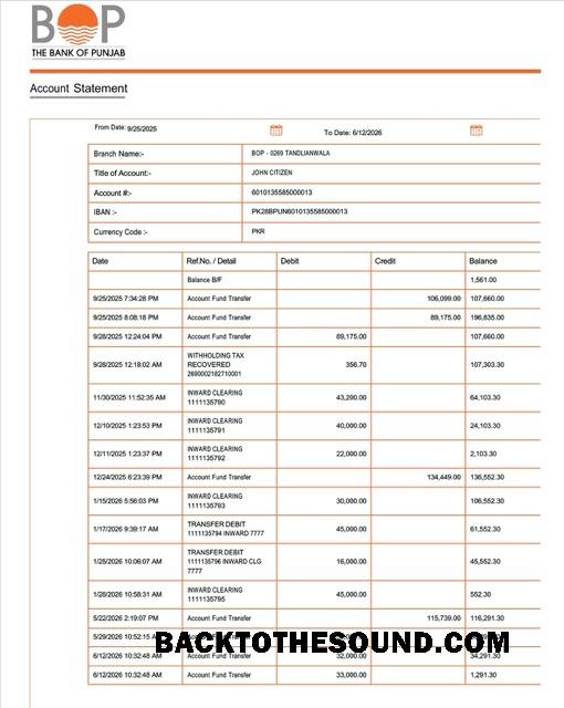 İndir Pakistan Banka of Punjab Hesap Hesap Özeti Word and PDF Örnek taslak