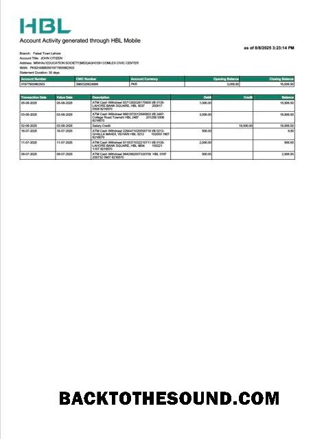 İndir Pakistan HBL Hesap Hesap Özeti Word and PDF Örnek tasarım