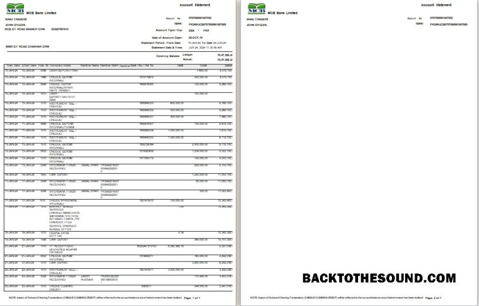 İndir Pakistan MCB Banka Hesap Özeti Word and PDF Örnek ön izleme