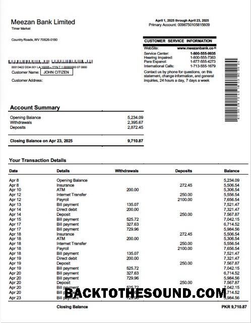 İndir Pakistan Meezan Banka Limited Hesap Hesap Özeti Word and PDF Örnek örnek