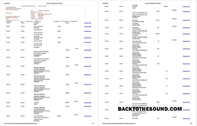 Premium İndir Pakistan Meezan Banka Limited Hesap Hesap Özeti Word and PDF Şablon, 2 pages Örnek