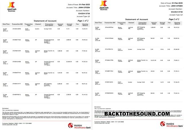 Premium İndir Pakistan Mobilink Microfinance Banka Hesap Özeti of Hesap Word and PDF Şablon, 2 pages Örnek