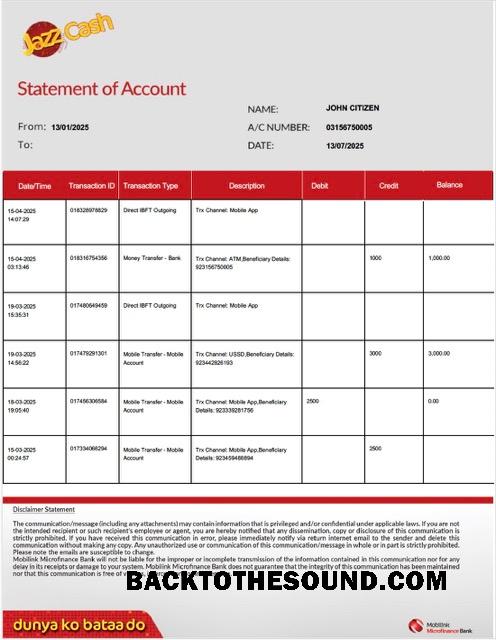 Profesyonel İndir Pakistan Mobilink Microfinance Banka Hesap Özeti of Hesap Word and PDF Şablon, Sürüm 2 Örnek