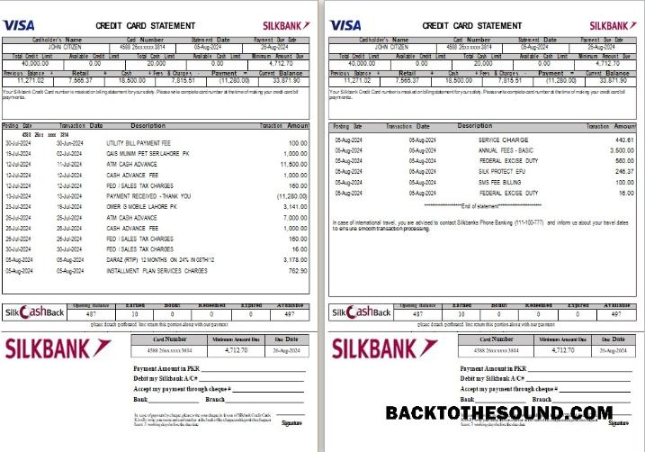 Düzenlenebilir İndir Pakistan Silkbank Hesap Özeti Word and PDF Şablon, 2 pages Örnek