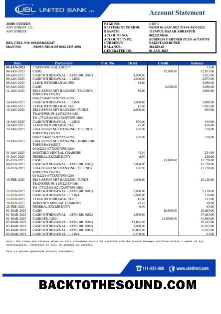 İndir Pakistan UBL Banka Hesap Özeti Word and PDF Örnek taslak