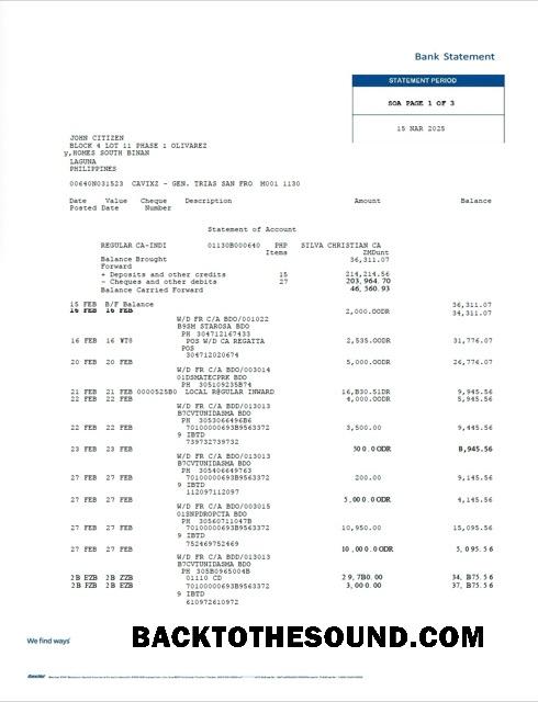 İndir Filipinler Bancnet Banka Hesap Özeti Word and PDF Örnek tasarım