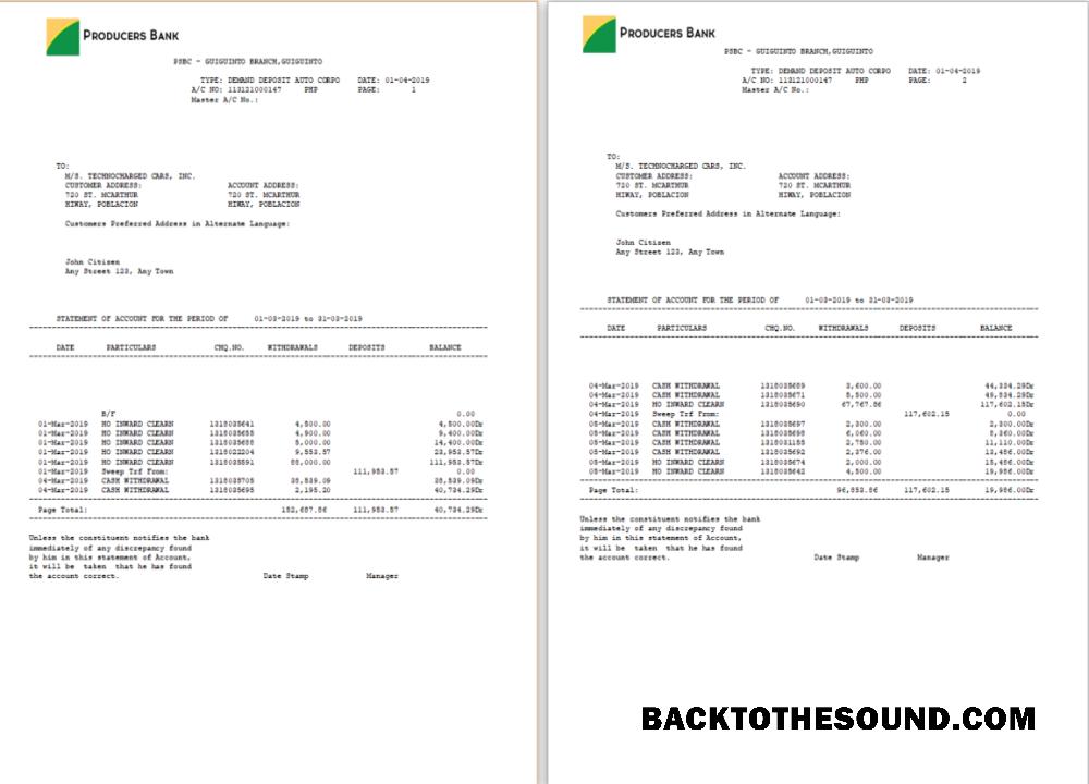 Düzenlenebilir İndir Filipinler Producers Banka Hesap Özeti Word and PDF Şablon, 2 pages Örnek