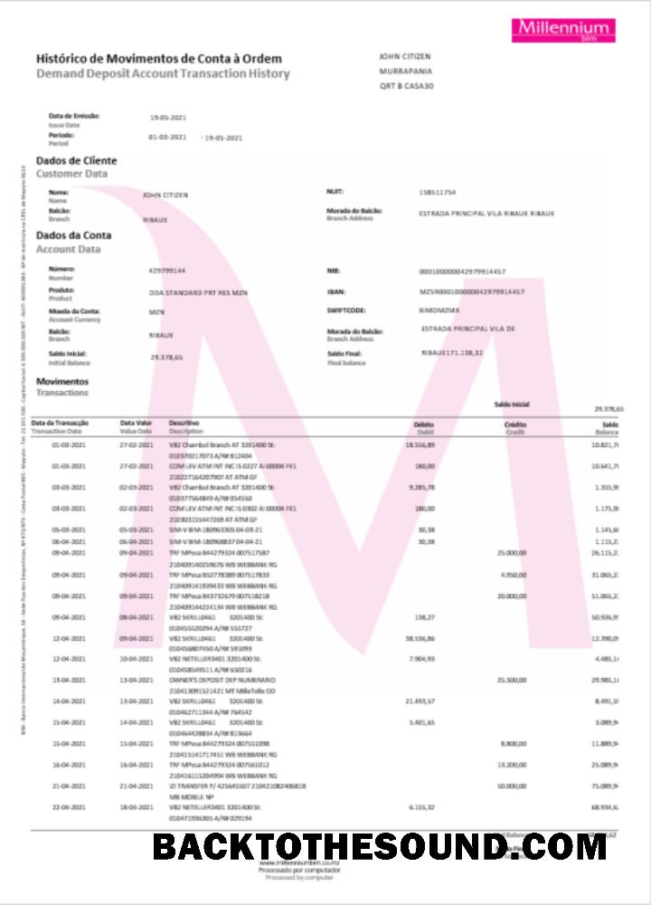 İndir Polonya Millennium Banka Hesap Özeti Word and PDF Örnek şablon