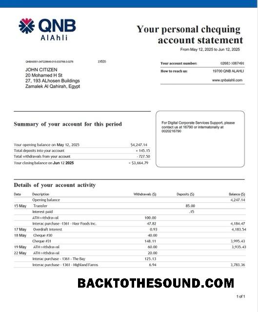 İndir Katar QNB Alahli Banka Hesap Hesap Özeti Word and PDF Örnek şablon