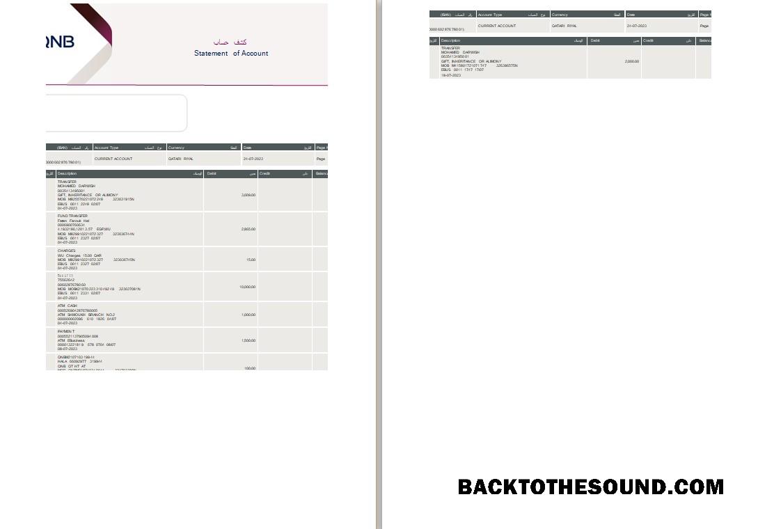 Premium İndir Katar QNB Hesap Özeti Word and PDF Şablon, 2 pages Örnek