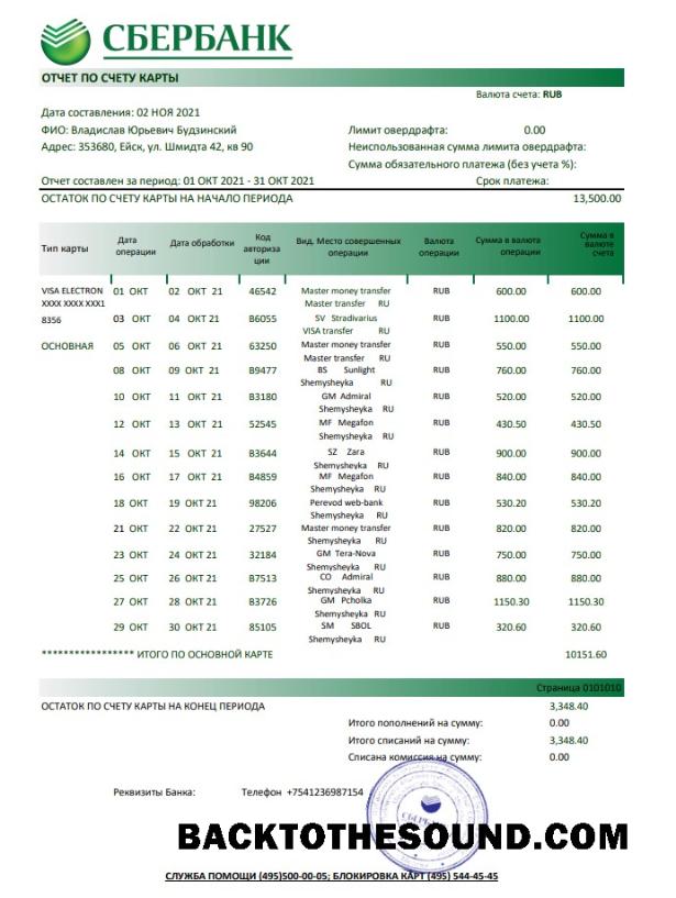 İndir Rusya Sberbank Banka Hesap Özeti easy to fill in Excel and PDF Format Örnek ön izleme