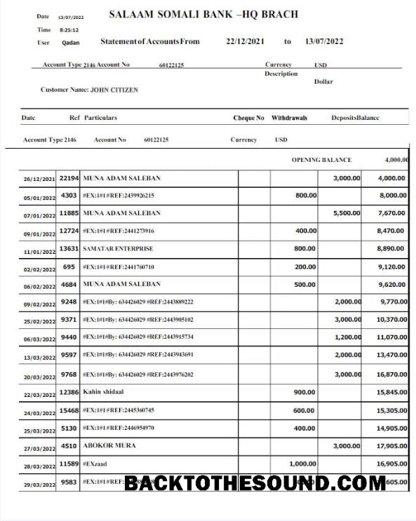 İndir Somali Salaam Somali Banka Hesap Özeti Word and PDF w Örnek tasarım