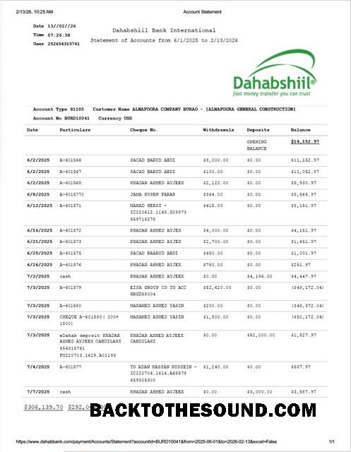 İndir Somali Dahabshiil Banka uluslararası Hesap Hesap Özeti Word and PDF Örnek tasarım
