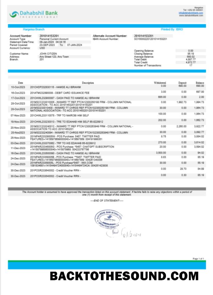 İndir Somali Dahabshil Banka uluslararası Banka Hesap Özeti Word and PDF Örnek taslak