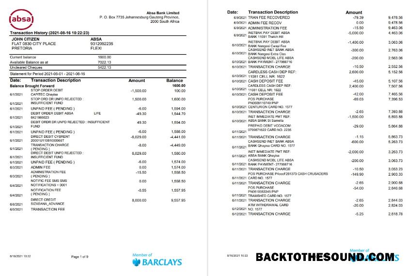 İndir Güney Afrika ABSA 9 pages Excel PDF Örnek ön izleme