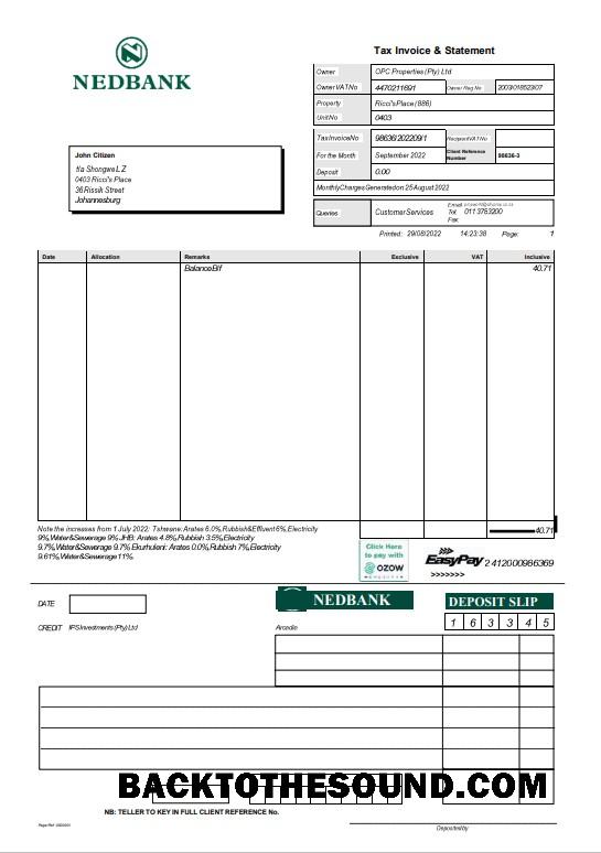 İndir Güney Afrika Nedbank Hesap Özeti Word and PDF Örnek şablon