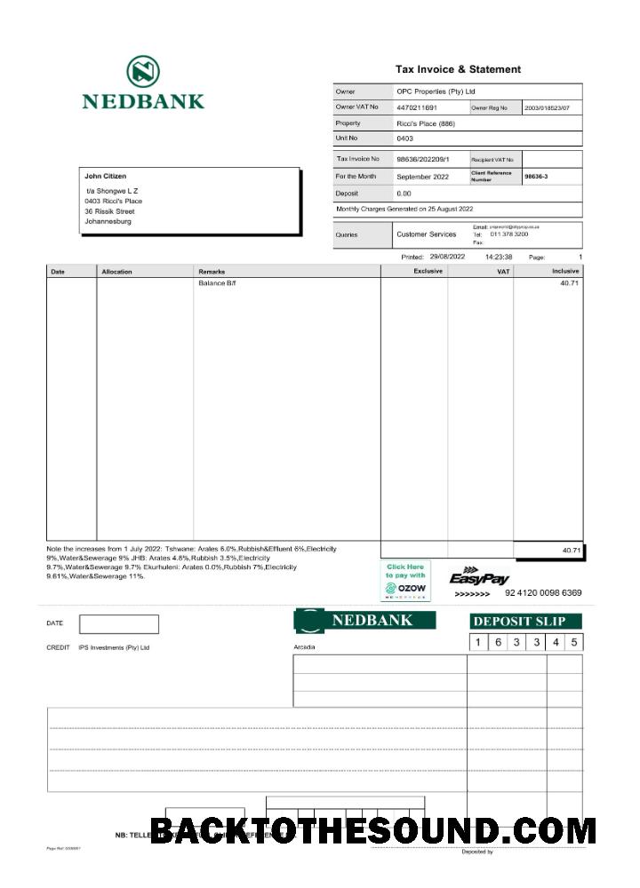 İndir Güney Afrika Nedbank Hesap Özeti Word and PDF scr Örnek şablon