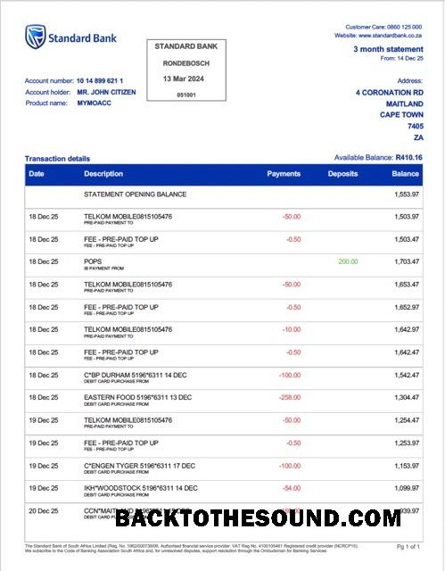 İndir Güney Afrika standart Banka Rondebosch Banka Hesap Özeti Word and PDF Örnek ön izleme