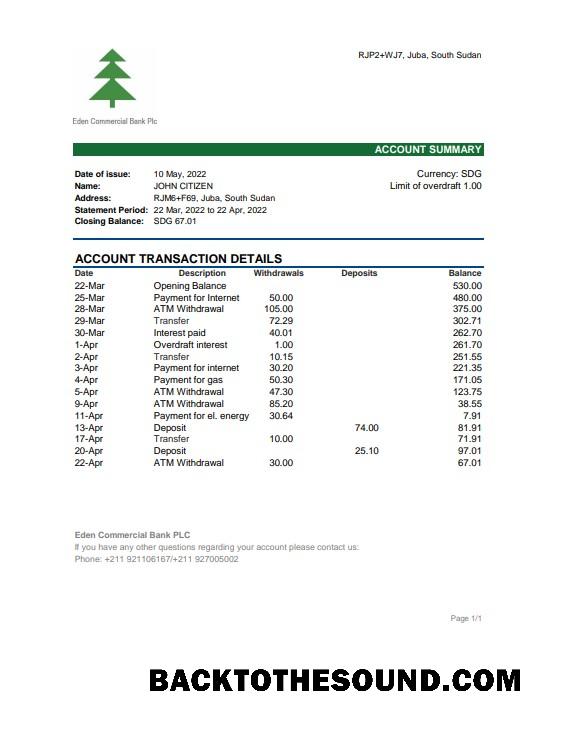 İndir Güney Sudan Eden ticari Banka Hesap Özeti, Excel and PDF Örnek taslak
