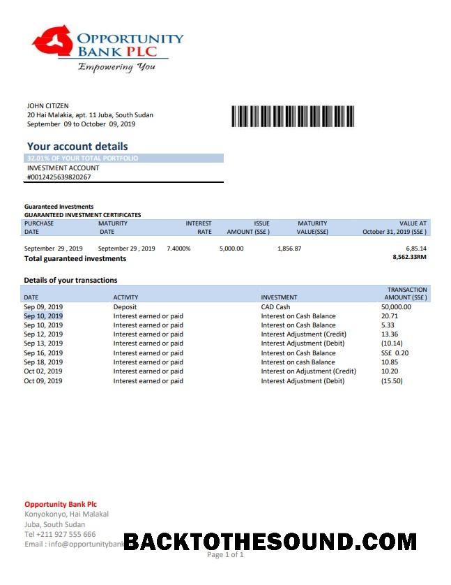 İndir Güney Sudan Opportunity Banka Hesap Özeti in Word and PDF Format Örnek şablon