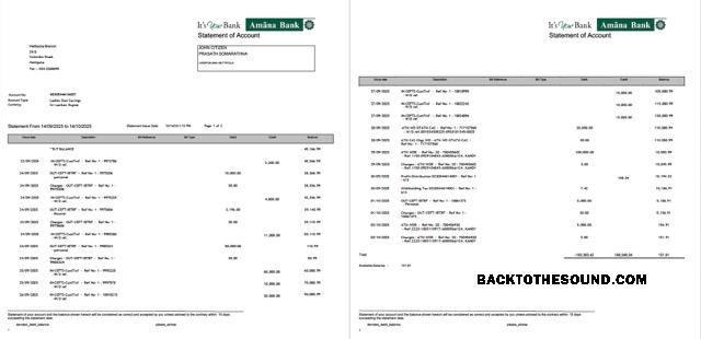 Gerçekçi İndir Sri Lanka Amana Banka Hesap Özeti of Hesap Word and PDF Şablon, 2 pages Örnek