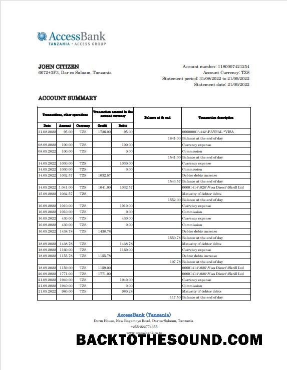 İndir Tanzanya erişim Banka Hesap Özeti, Excel and PDF Örnek şablon