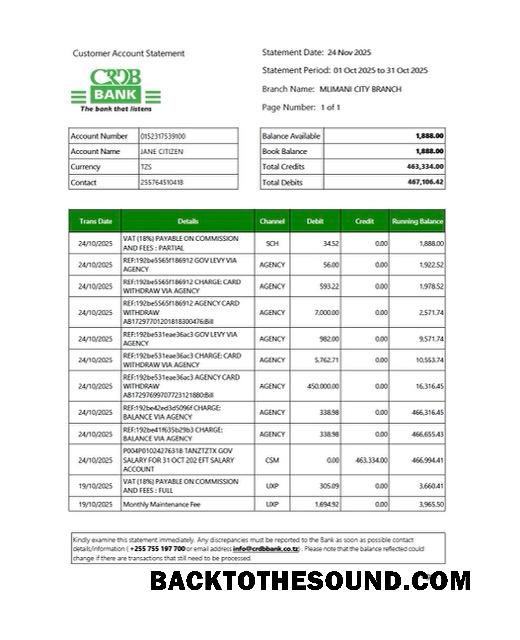 Premium İndir Tanzanya CRDB Banka Hesap Hesap Özeti Word and PDF Şablon, Sürüm 2 Örnek