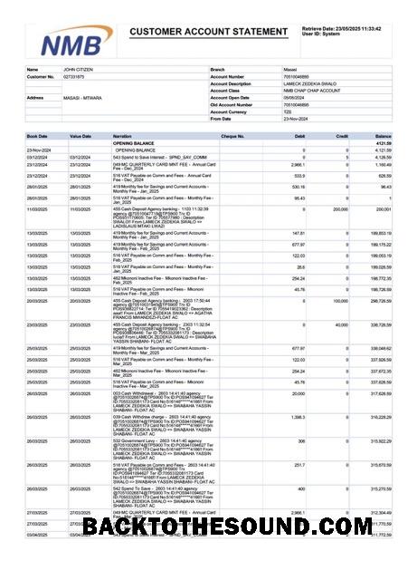 İndir Tanzanya NMB Banka Hesap Hesap Özeti Word and PDF Örnek örnek