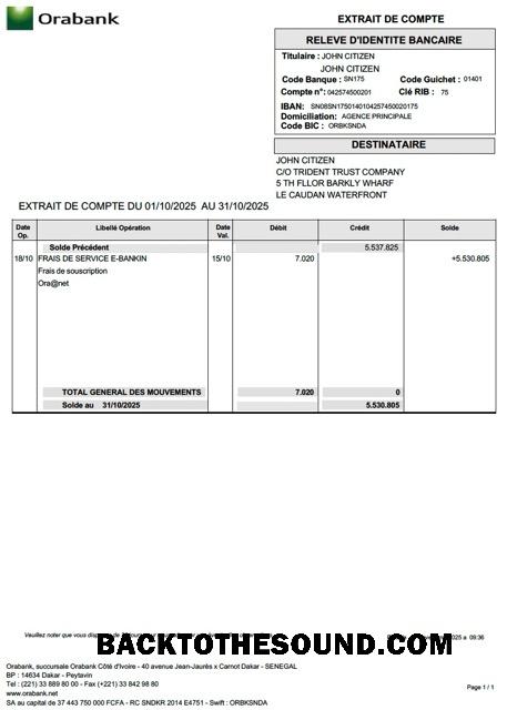 İndir Togo Orabank Hesap Hesap Özeti Word and PDF Örnek tasarım