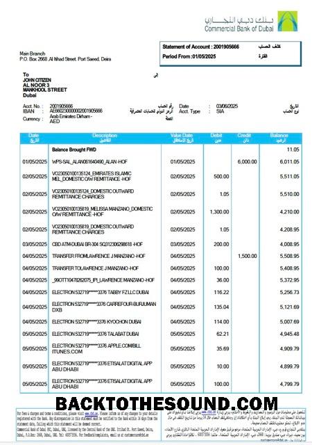 İndir BAE ticari Banka of Dubai Hesap Özeti of Hesap Word and PDF Örnek taslak