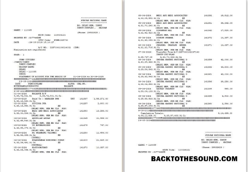 Yüksek Kalite İndir BAE Dubai PNB Banka Hesap Özeti Word and PDF Şablon, 2 pages Örnek