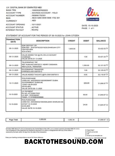 İndir BAE Liv. Digital Banka Hesap Özeti of Hesap Word and PDF Örnek örnek