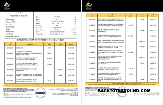 Düzenlenebilir İndir BAE Liv. Digital Banka Hesap Özeti of Hesap Word and PDF Şablon, 2 pages Örnek