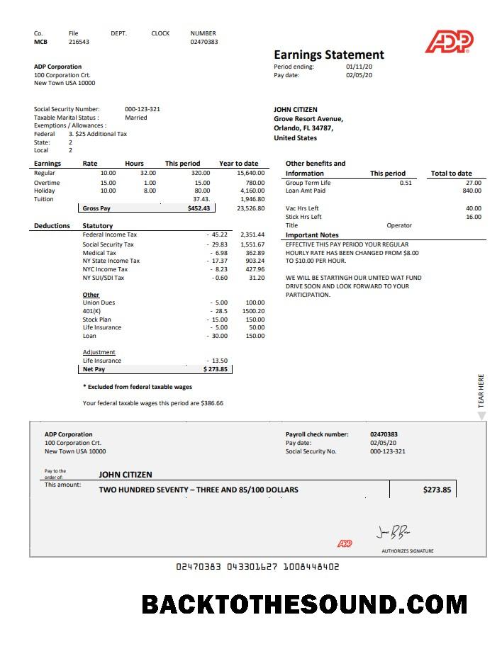 İndir ABD ADP Earnings Hesap Özeti in Word and PDF Format Örnek şablon