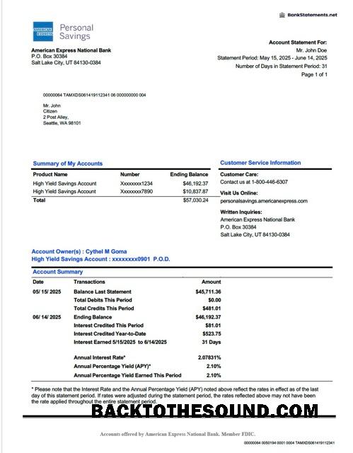 İndir ABD American Express ulusal Banka Hesap Hesap Özeti Word and PDF Örnek örnek
