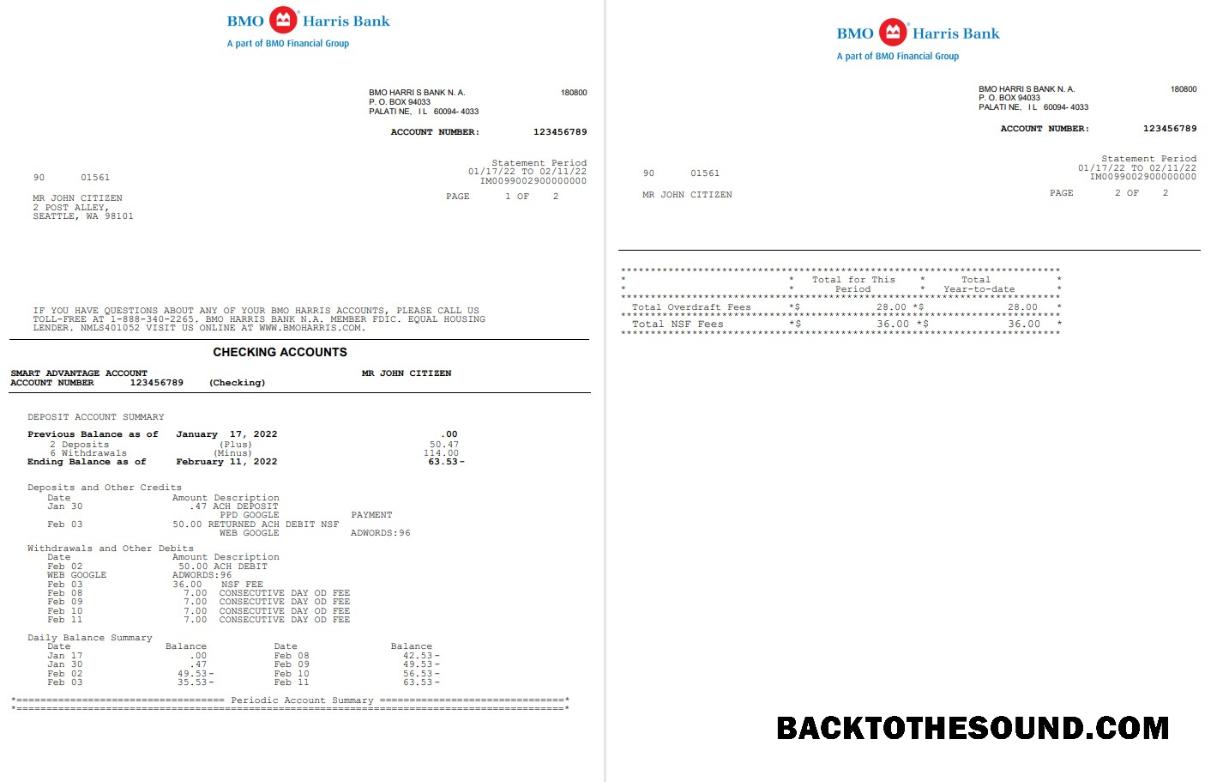 Gerçekçi İndir ABD BMO Harris Banka Hesap Özeti Word and PDF Şablon, 3 pages Örnek